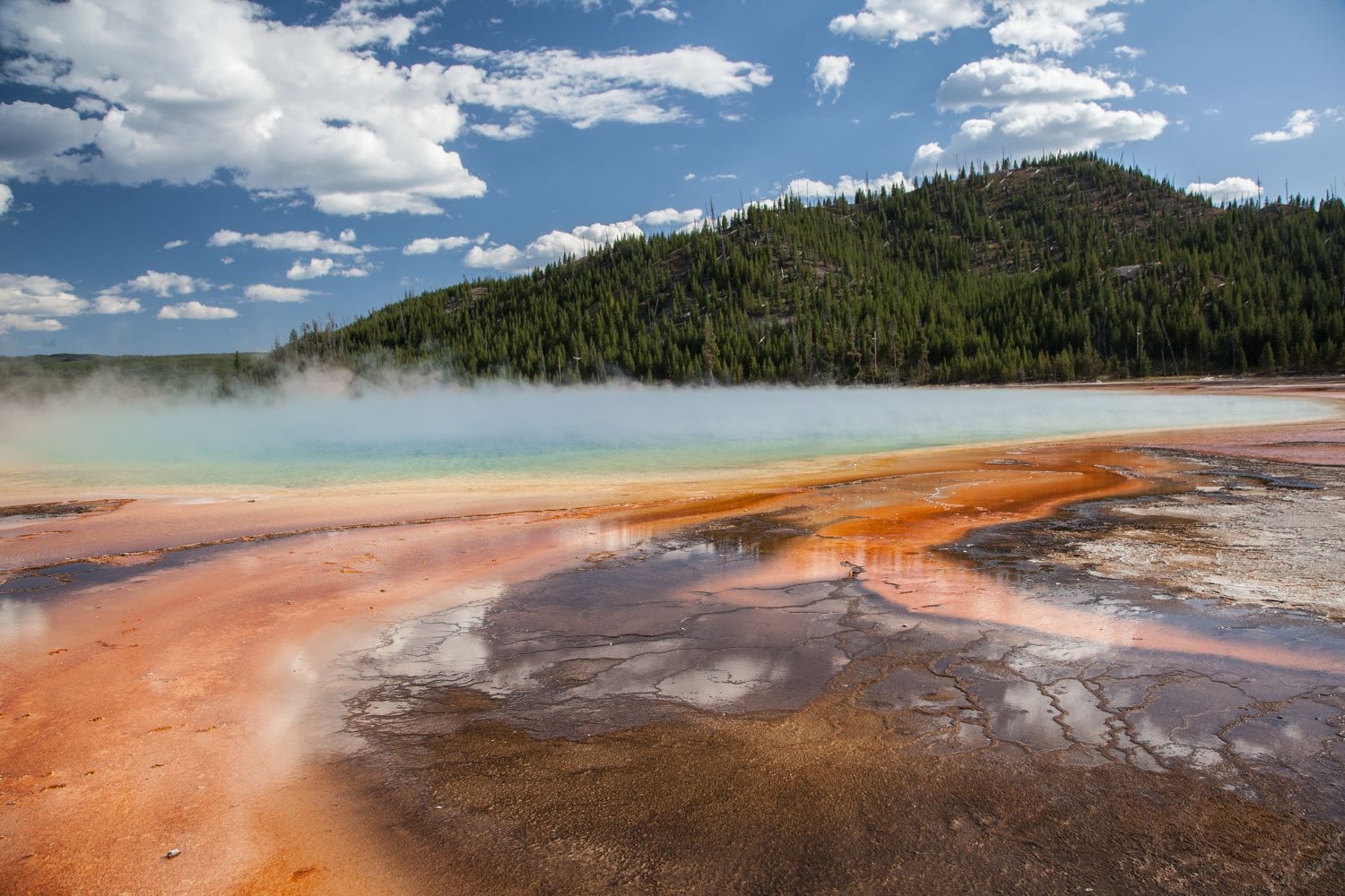 A wide view. In the middle distance a broad pool of pale blue-green water steams heavily, with a low bank of white vapor drifting across it. In front of the pool the ground is covered in bands of orange, rust and brown microbial mat, cut by darker channels and shallow standing water that reflects the sky. Behind the pool a forested hill rises under blue sky with scattered cumulus cloud.
