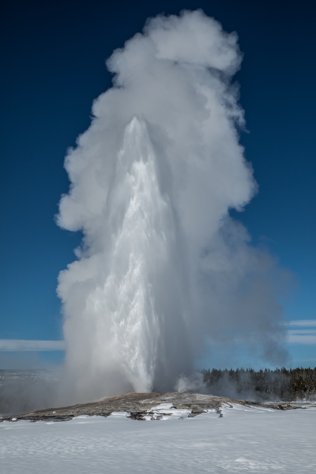 A tall white column of water and steam erupts from a low pale mound and rises through most of the frame against a deep blue sky, its top spreading into a broad billowing cloud that drifts to the right. Inside the column a narrower, denser jet of water is visible, textured and streaked. The mound at its base is bare gray and tan, streaked with runoff, carrying small patches of snow, with thin steam rising from vents to its right. Flat unbroken snow covers the foreground and the middle distance. A dark band of snow-dusted conifers runs along the right horizon, and a pale hazy ridge lies low on the left.