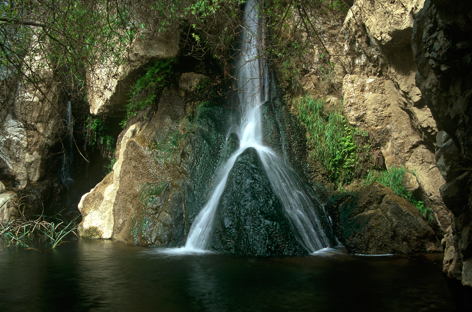 A waterfall about two-thirds of the height of the frame drops down a rounded face of dark, wet rock and splits into two strands near the bottom. The wet rock is near-black and glistening; patches of bright green low plants grow on it and in the crevices beside it, in a band only a few centimeters wide at the water’s edge. To the left and right the rock is pale cream and gray, dry, and crossed by bare woody branches with few leaves. A still, dark pool fills the bottom quarter of the frame, its surface almost unbroken. Sunlight falls on the upper right; the lower left is in shadow.