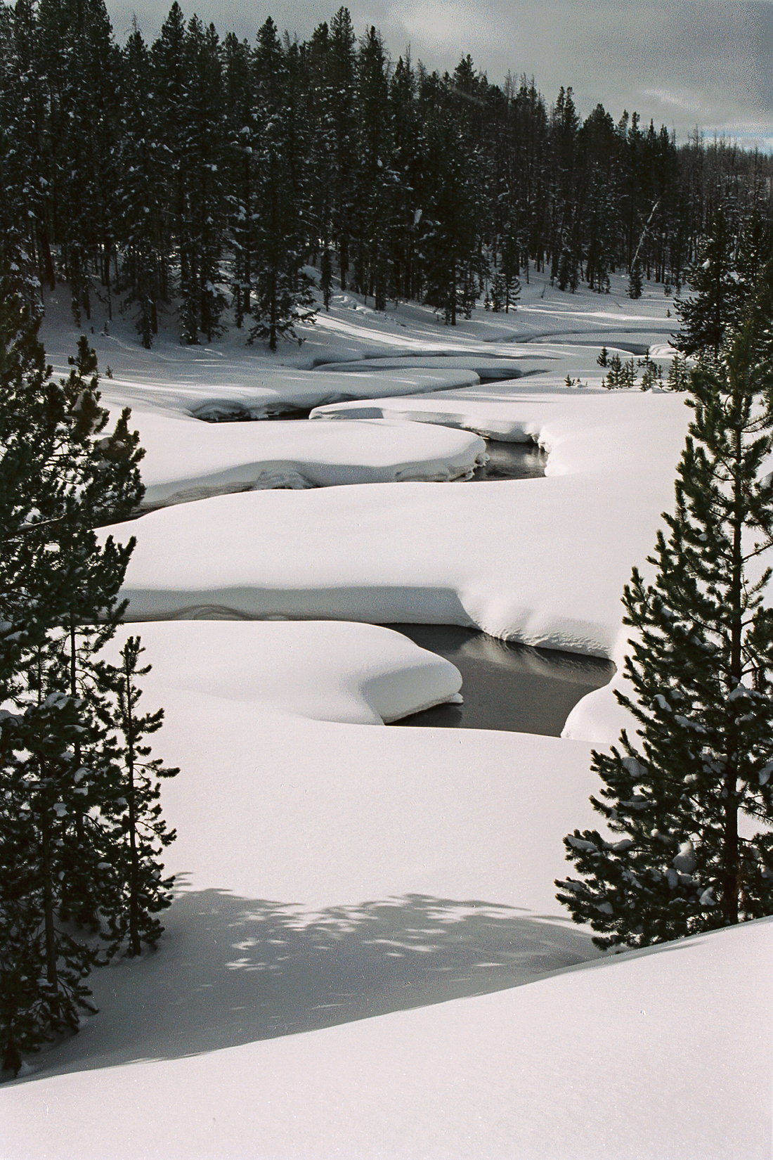 A stream valley under deep, smooth snow, photographed from slightly above. The snow lies in broad rounded lobes that trace the meanders of the buried channel from the foreground to the middle distance, with a few narrow dark gaps of open water showing between them. Dark green conifers, snow on their branches, stand in the foreground on both sides and cover the hillside across the valley. The sky at the top of the frame is heavy gray cloud with a pale break near the right edge.