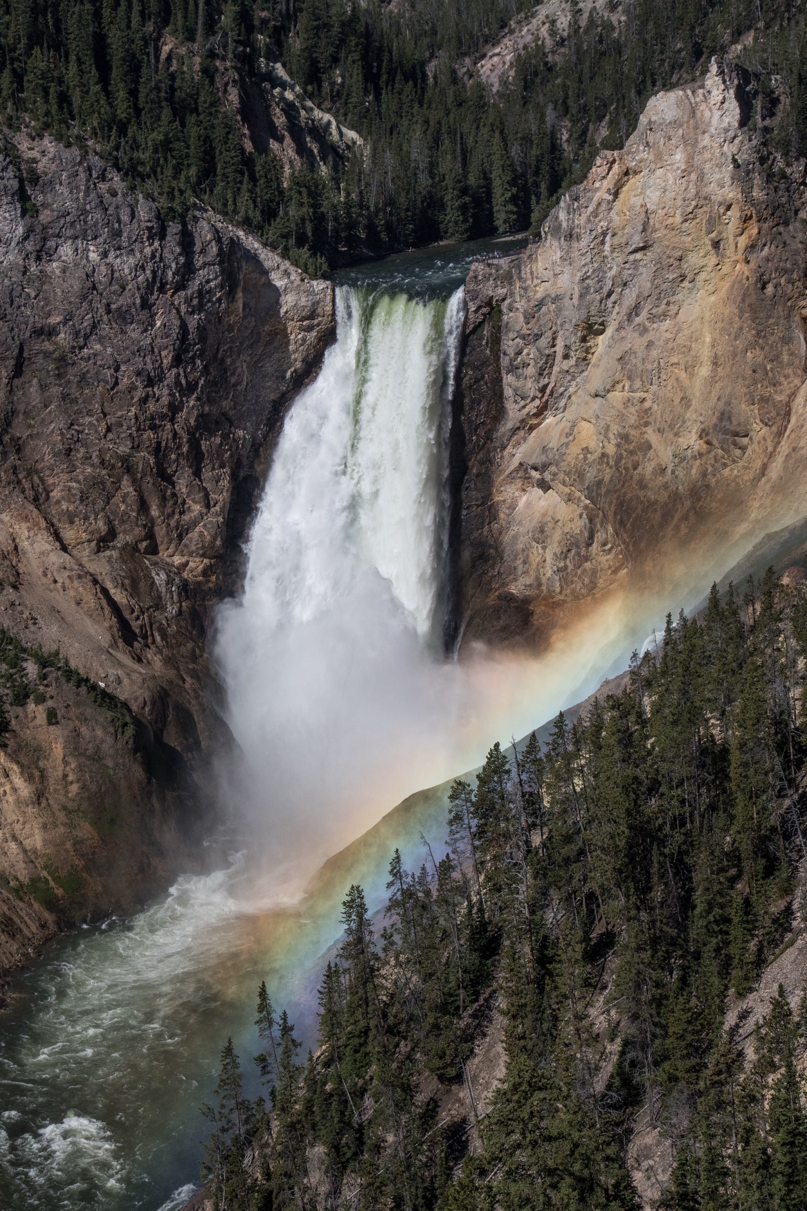 A wide, white waterfall drops from a notch at the top center of the frame into a deep canyon, falling perhaps its own height again in mist. The canyon walls are tan, ochre and gray rock, steeply bedded, with dark conifer forest on the upper slopes and along the rim. Below the fall the river runs green-gray through rapids at the bottom left. A broad rainbow arcs from the lower center of the frame up to the right, lying across the spray and the forested slope behind it.