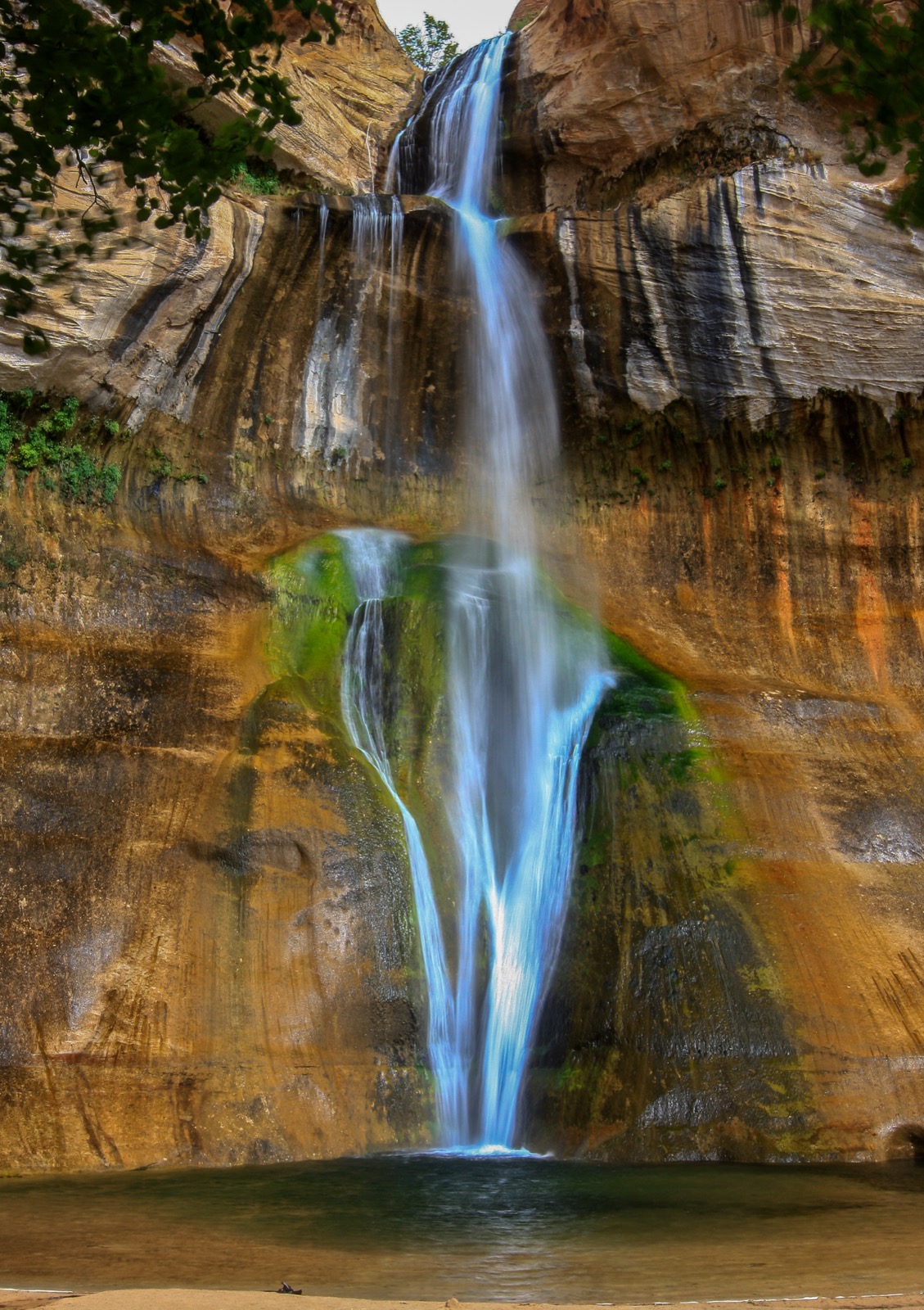 A narrow white waterfall drops the full height of the frame down a vertical sandstone wall of gold, tan and rust-orange rock. The rock is crossed by long dark vertical streaks. In the middle of the wall, on either side of the falling water, a broad patch of bright green low growth covers the rock where water spreads across it. At the foot of the fall is a shallow dark green pool, and in the foreground a pale sand and gravel beach. A few green leafy branches hang into the top left corner.