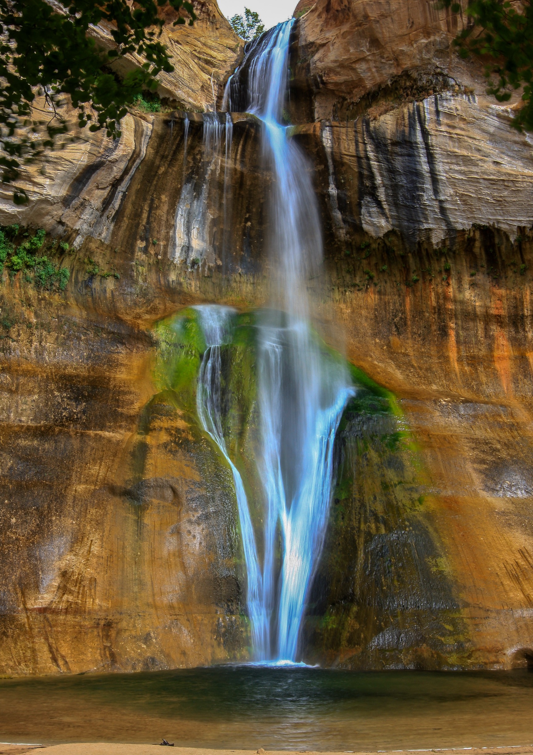 A narrow white waterfall drops the full height of the frame down a vertical sandstone wall of gold, tan and rust-orange rock. The rock is crossed by long dark vertical streaks. In the middle of the wall, on either side of the falling water, a broad patch of bright green low growth covers the rock where water spreads across it. At the foot of the fall is a shallow dark green pool, and in the foreground a pale sand and gravel beach. A few green leafy branches hang into the top left corner.
