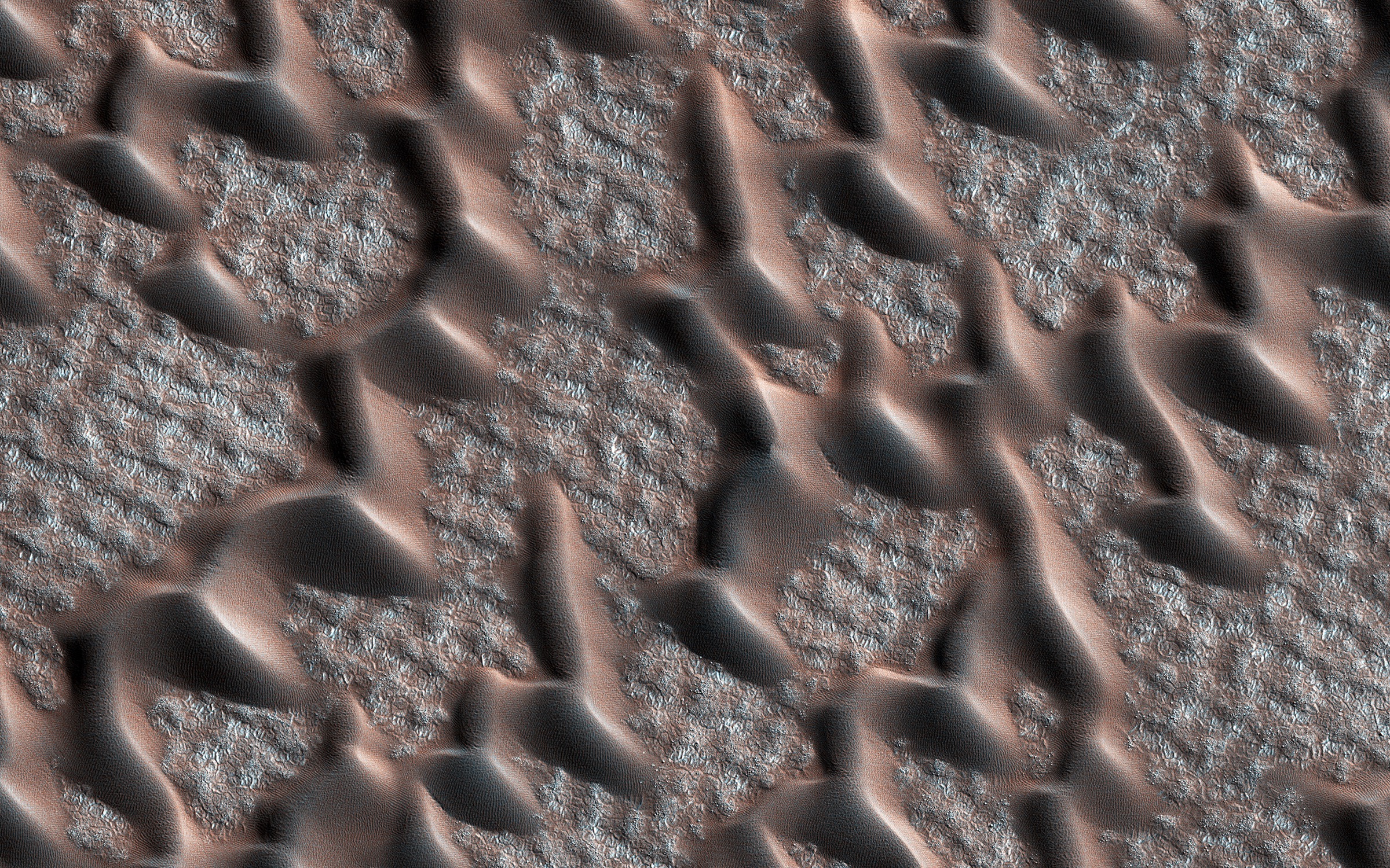 An overhead view of a surface covered in dark, elongated dune forms arranged in roughly parallel rows running from the upper left to the lower right, each dune rounded at one end and tapering at the other. Between and around them the ground is pale gray and pinkish-tan with a lumpy, blotchy, quilted texture. Fine ripple lines are visible on the smooth tan surfaces between the dunes. There is no sky, no horizon and no object of known size anywhere in the frame.