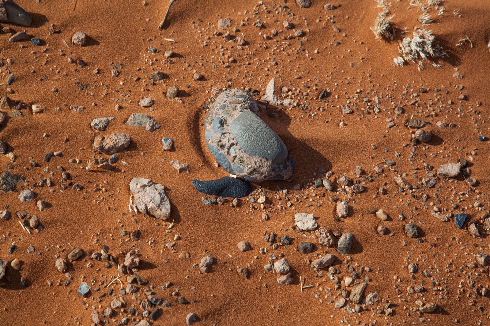 A patch of fine red-orange desert sand seen from above, scattered with pebbles and small stones of many colors — gray, blue-gray, pink, tan, black — from a few millimetres to a few centimetres across, most of them rounded. Slightly above center lies a single larger stone about ten centimeters long: a conglomerate of pebbles set in a matrix, with one broad, smooth, flat pale gray face occupying most of its upper surface and a sharp boundary where that face ends. It casts a long shadow to the lower left. In the top right corner is a small clump of dry pale grass.