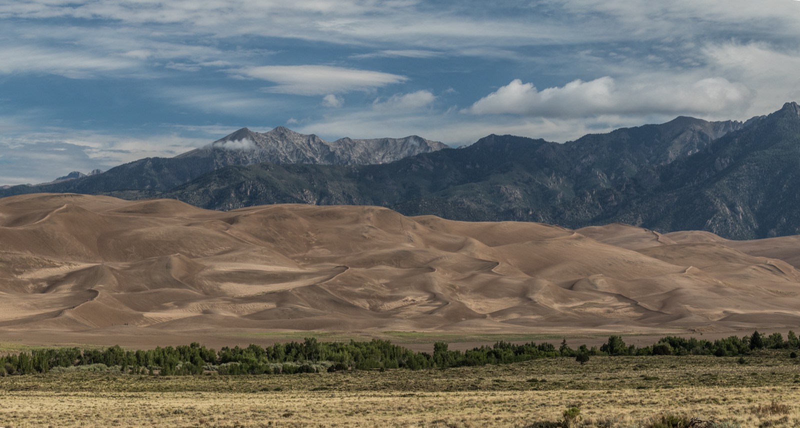 A wide panorama. The lower third is flat grassland and a line of green cottonwood trees. Behind them rises a field of smooth tan sand dunes, layered one behind another, their crests running in long sinuous lines and their flanks in light and shadow; two or three tiny dark specks on one crest at the left appear to be people. Behind the dunes a steep mountain range rises abruptly, dark green with conifer forest on its lower slopes and bare gray rock with a dusting of snow on the summits. A broad blue sky with streaked and puffy white cloud fills the top half.